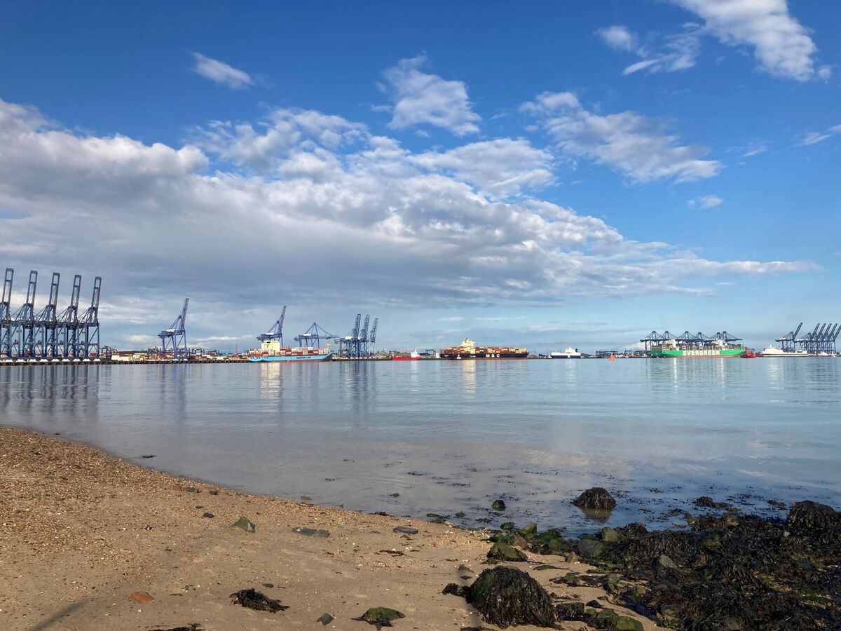 A View from the beach - Katharine Showell